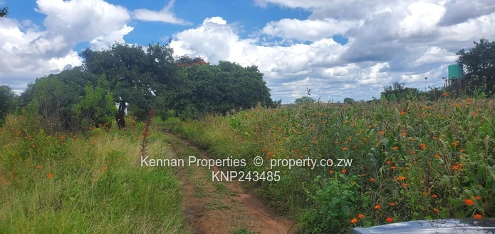 5 Acres Central Gweru With Deeds!