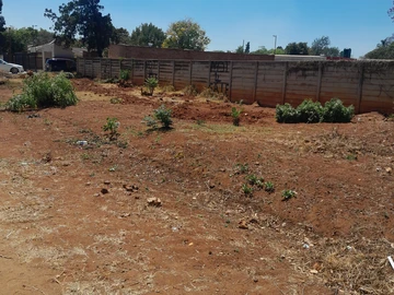 Stands & Residential Land