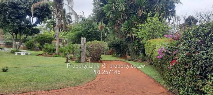 Ridge Road Prime Avondale Golden Oldie