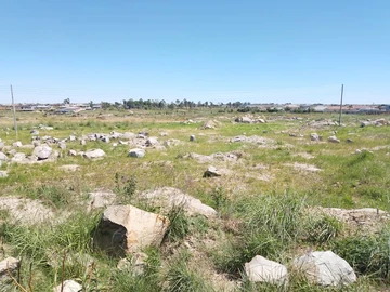 Stands & Residential Land