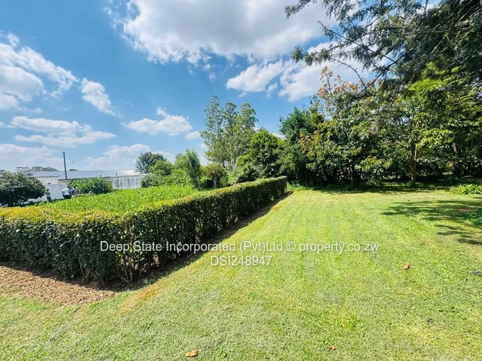 Borrowedale Brooke estate stand for sale 