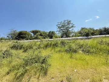 Farm & Agricultural Land