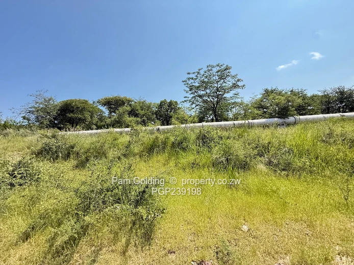 Nyamandlovu 1026 farm for sale