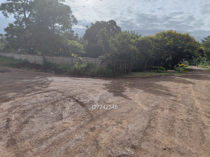 Prime Residential Stands for Sale!