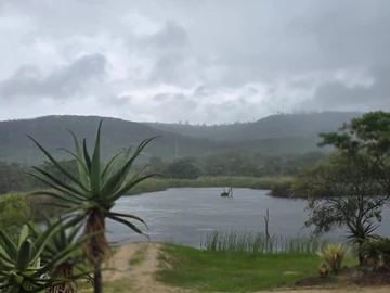 Farm & Agricultural Land