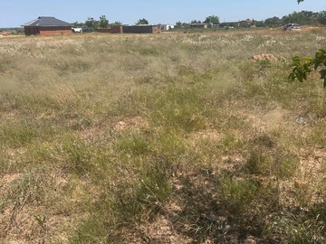 Stands & Residential Land