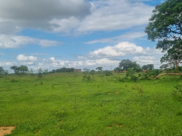 Farm & Agricultural Land