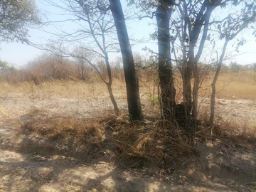 Farm & Agricultural Land