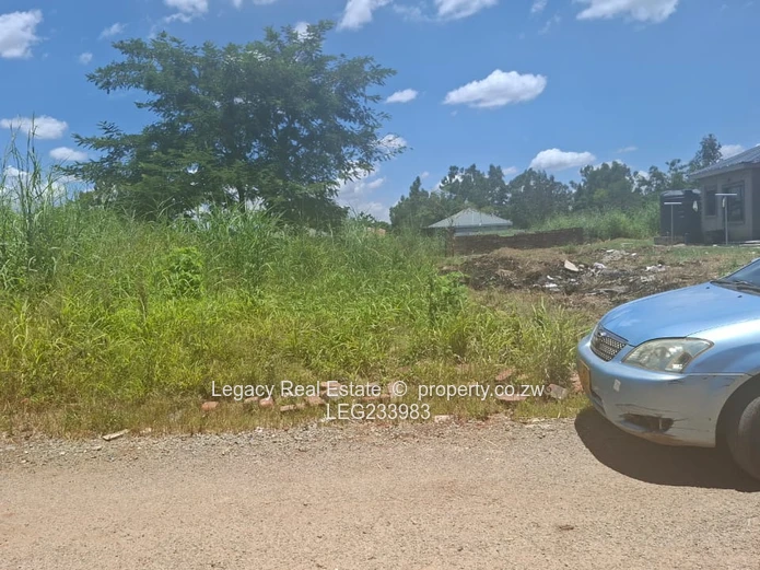  Ready to Build Stand in Cold Comfort. 