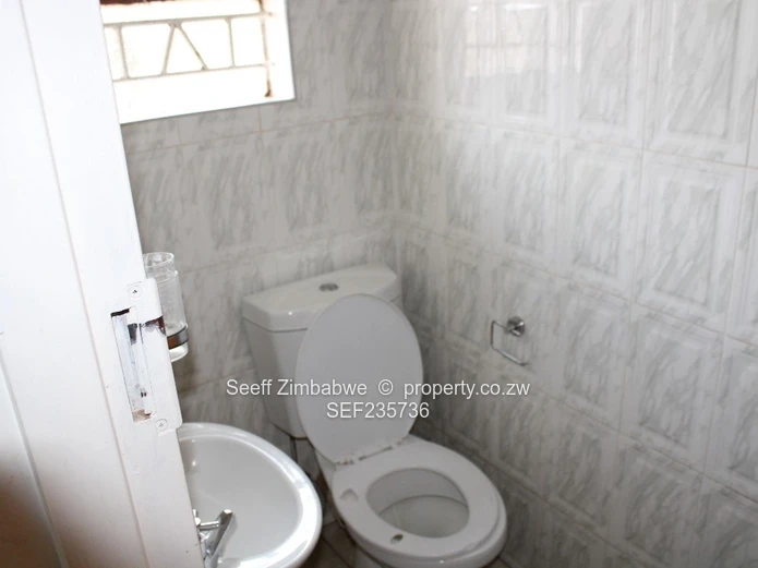 Lion Street House For Rent