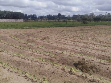 Farm & Agricultural Land