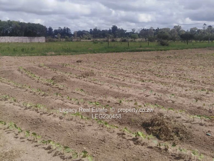 Prime Ruwa Land With 4-Bedroom House | Title Deeds Along Gardner Road