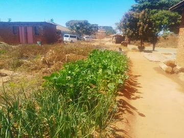 Stand For Sale In Glaudina