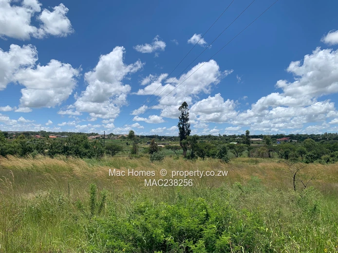 Rusape Land For Sale (Sole Mandate)