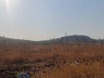 Commercial & Industrial Land