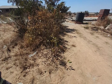 Stands & Residential Land