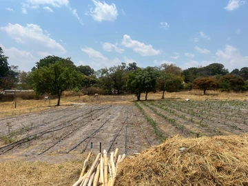 Farm & Agricultural Land