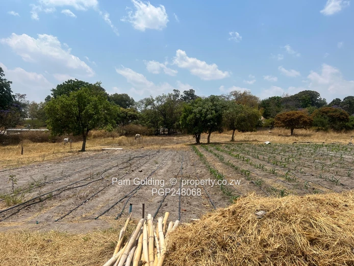 10-Acre Country Estate in Arcturus. (Sole Mandate)