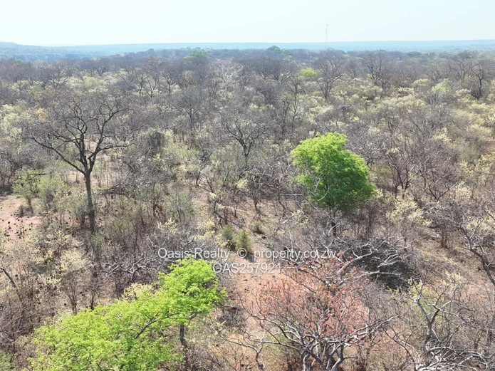 Investment Opportunity | Zambezi Gorge, Victoria Falls