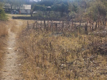 Commercial & Industrial Land
