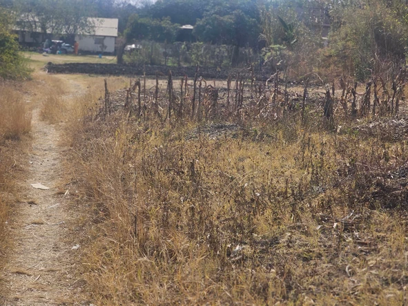 Commercial & Industrial Land