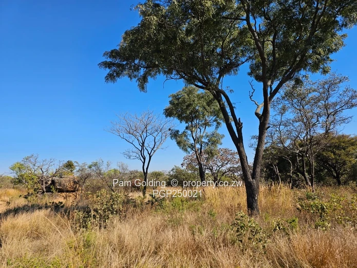 Stunning Prime Residential Land
