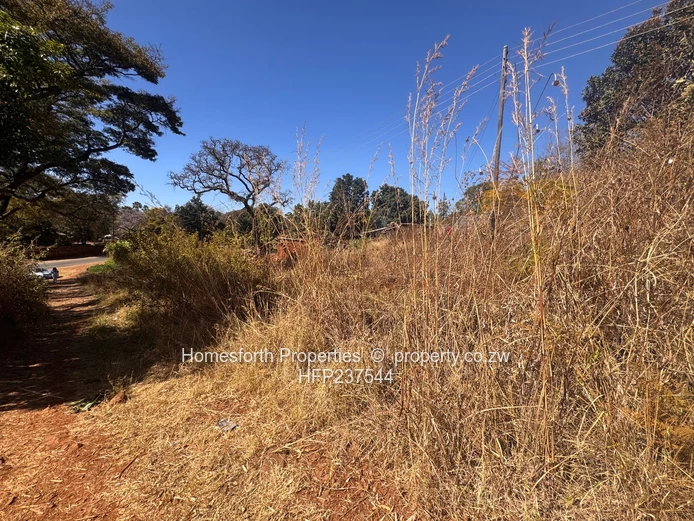 Borrowdale Brooke Stand for Sale (Along Churchill)  