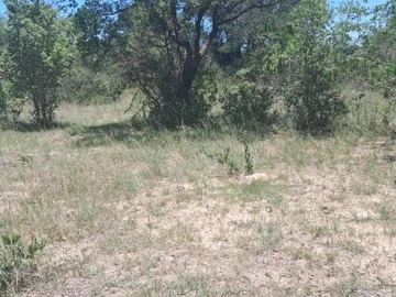 Farm & Agricultural Land