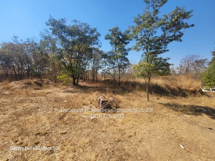 Glenlorne Kambanji stand with self contained 3 bedroomed cottage for sale (Sole Mandate)