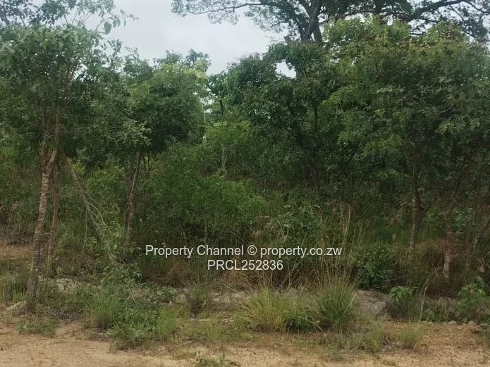 2159m² Corner Stand with Mature Trees in Rotsvlei Park, Marondera