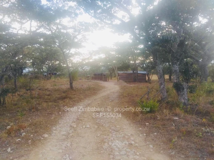 Experience The Nyanga Lifestyle, In Nature's Luxury