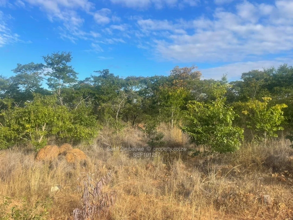 Farms & Agricultural Land for Sale in Gweru East SEF191267