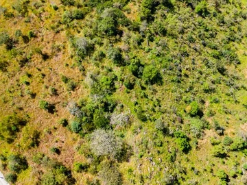 Commercial & Industrial Land