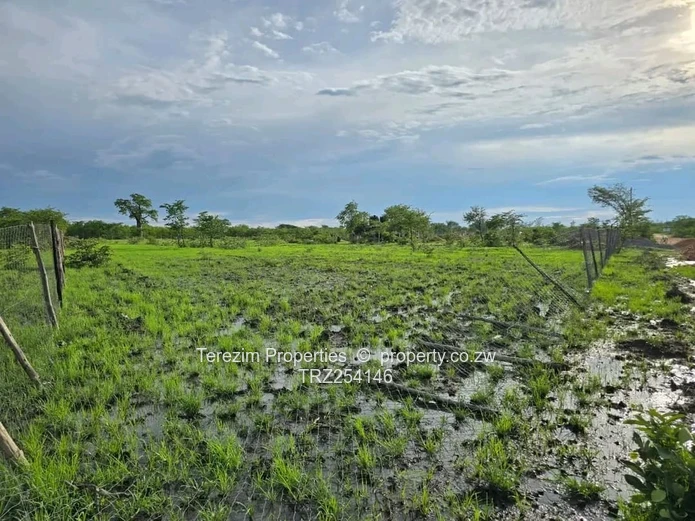 Kadoma: Prime School Stand For Sale