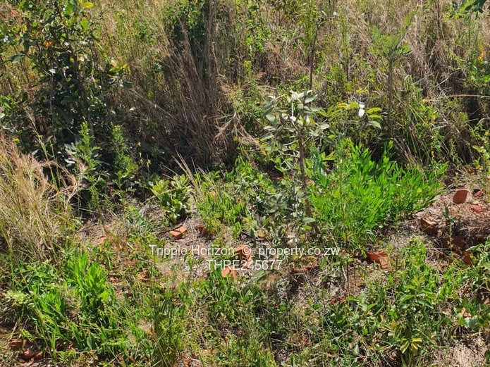 1000m² Stand in Crowhill Views — Gravel Road Access