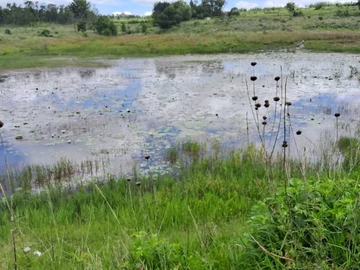 Farm & Agricultural Land