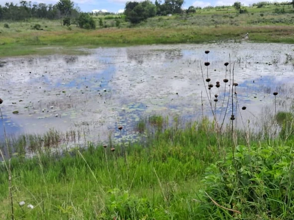 Farm & Agricultural Land