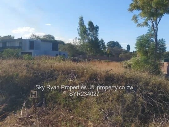 Borrowdale Stand For Sale