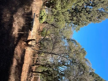 Commercial & Industrial Land