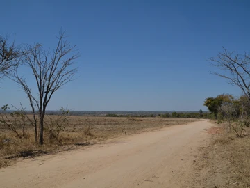 Farm & Agricultural Land