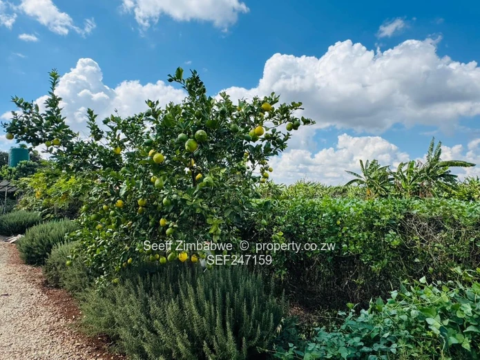 Prime Multi-Purpose Plot | Knowe, Norton