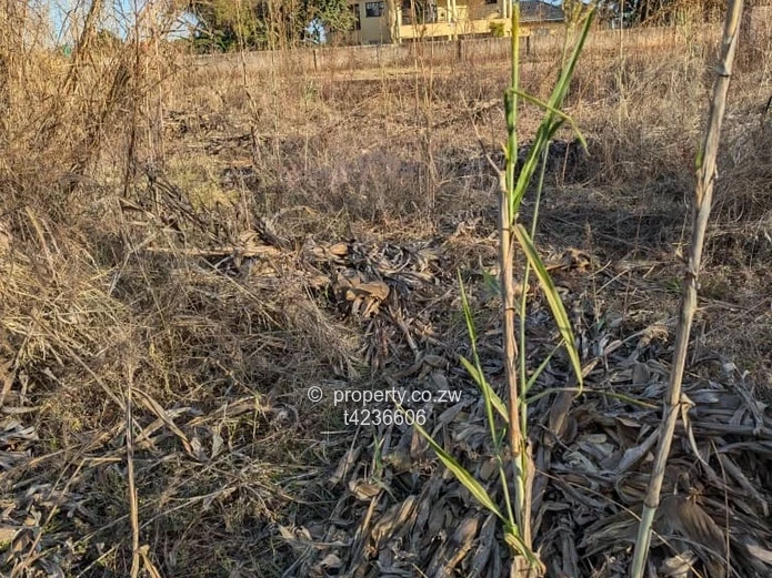 Norton knowe stand for sale