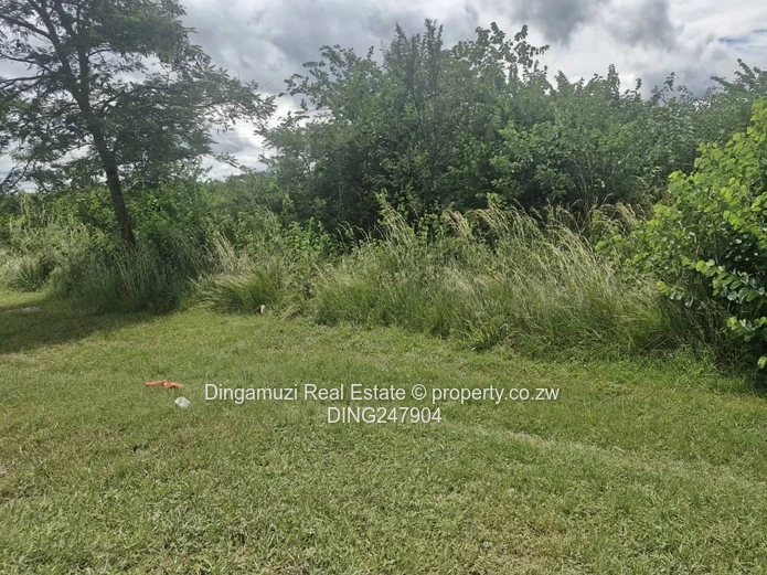 Agro residential with commercial rights - along Bulawayo Road
