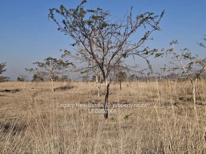 Unlock the Potential of Virgin Land in Selous,Land That Works for Your Future