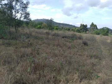 Farm & Agricultural Land