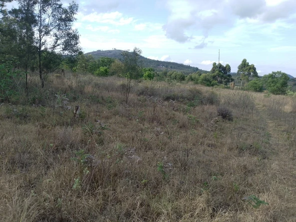 Farm & Agricultural Land