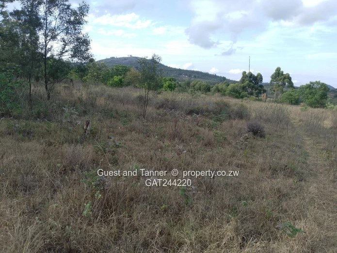 59.3ha Agricultural Farm For Sale In Mutare Odzani