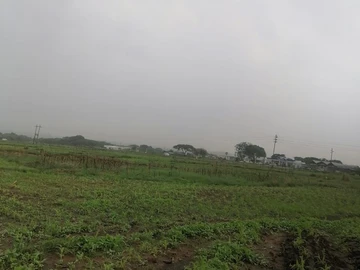 Commercial & Industrial Land