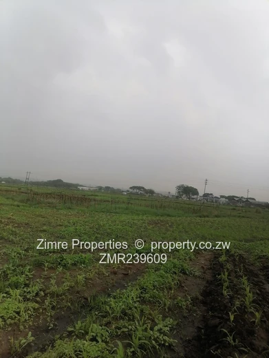 Marondera Industrial Stand (Sole Mandate)