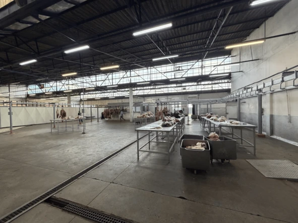 Warehouse & Factory